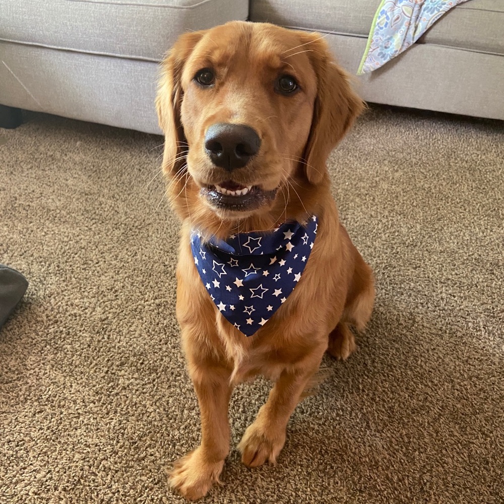 ⬛️Special Occasion Bandanas!